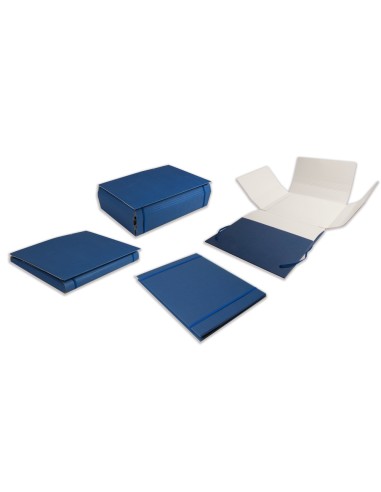 CI | Carpeta proyectos liderpapel extensible gofrada folio