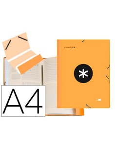 CI | Carpeta liderpapel antartik clasificadora a4 12...