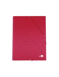 CI | Carpeta liderpapel gomas folio 3 solapas carton... 2