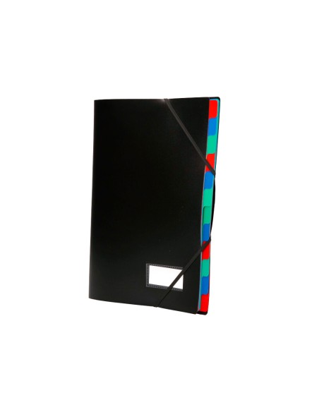CI | Carpeta liderpapel clasificadora polipropileno din a4 negra -portafirmas -12 departamentos