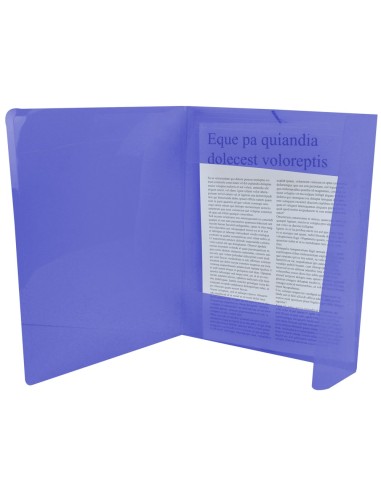 CI | Carpeta liderpapel gomas solapas 34962 polipropileno din a4 azul translucido