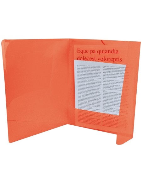 CI | Carpeta liderpapel gomas solapas 34960 polipropileno din a4 roja transparente