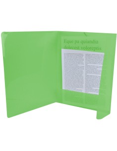 CI | Carpeta liderpapel gomas solapas 34963 polipropileno... 2