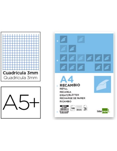 CI | Recambio liderpapel cuarto 100 hojas 60g/m2 cuadro 3mm con margen 6 taladros