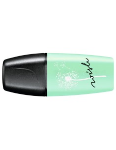 CI | Rotulador stabilo boss mini pastellove pizca de menta 2