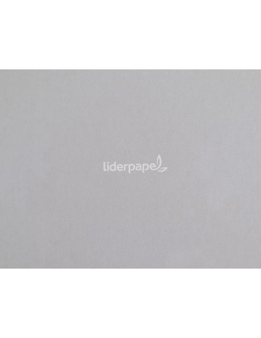 CI | Cuaderno espiral liderpapel folio witty tapa dura 80h 75gr cuadro 4mm con margen colores surtidos