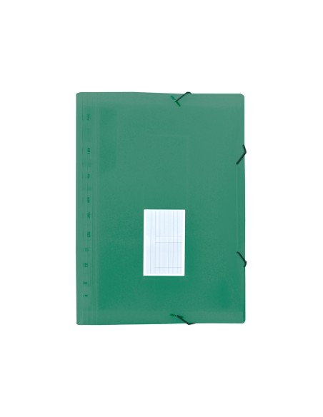 CI | Carpeta liderpapel clasificador fuelle polipropileno din a4 verede opaco 13 departamentos