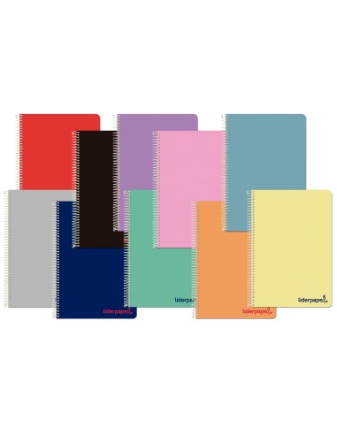 CI | Cuaderno espiral liderpapel a4 wonder tapa plastico 80h 90gr rayado horizontal con margen colores surtidos
