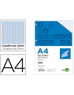 CI | Recambio liderpapel a4 100 hojas 100g/m2 cuadro 2mm...