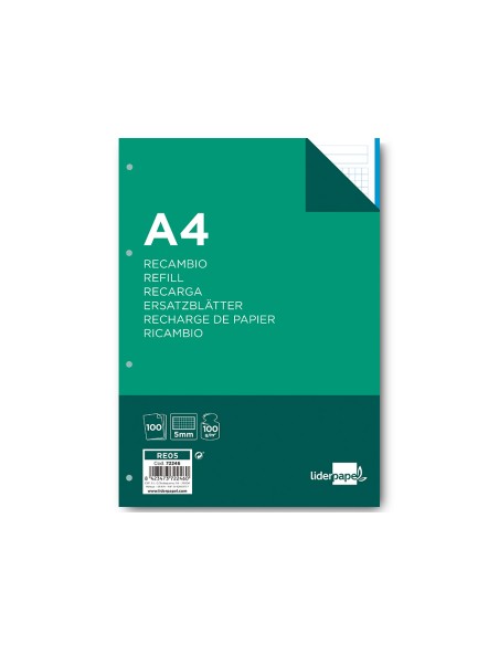 CI | Recambio liderpapel a4 100 hojas 100 g/m2 cuadro 5 mm 4 taladros bandas de 5 colores
