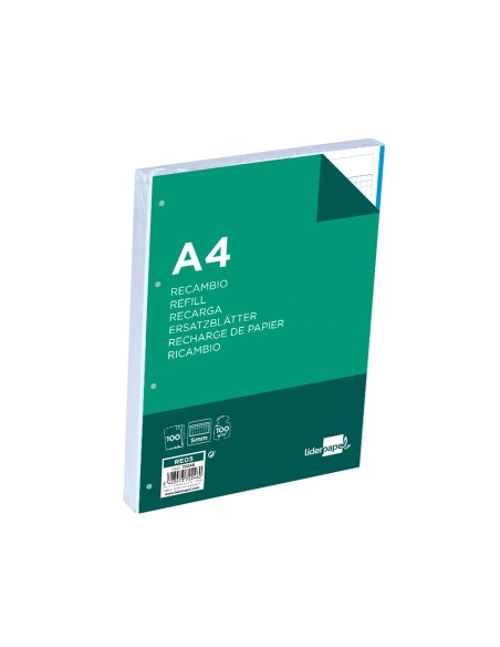 CI | Recambio liderpapel a4 100 hojas 100 g/m2 cuadro 5 mm 4 taladros bandas de 5 colores
