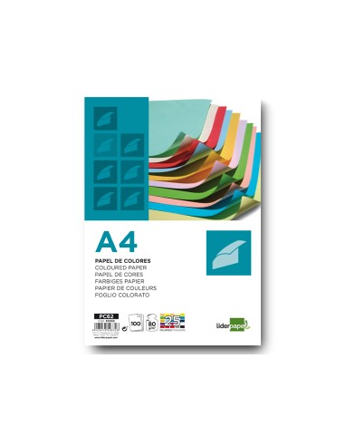 CI | Papel color liderpapel a4 80g/m2 25 colores surtidos paquete de 100