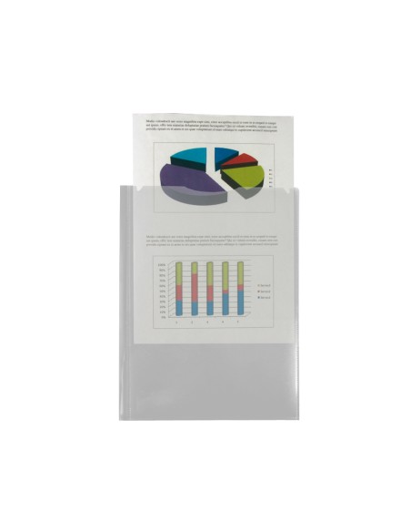 CI | Carpeta liderpapel dossier dos bolsas canguro 45684 polipropileno din a4 transparente