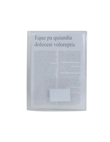 CI | Carpeta liderpapel dossier dos bolsas 35584 polipropilenodin a4 incolora