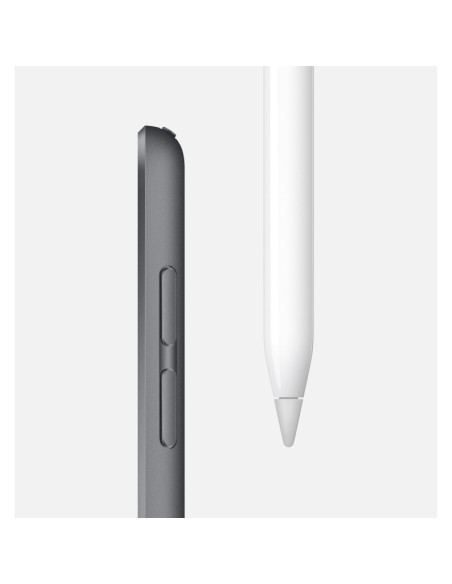 Ipad mini 5 wifi cell 64gb gris espacial - mux52ty/a