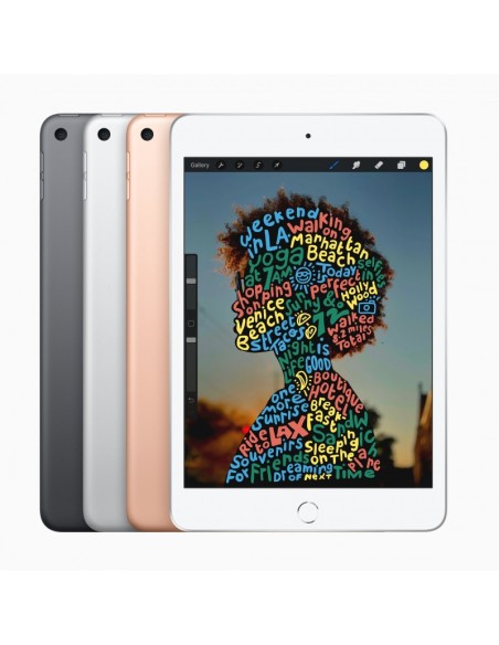 Ipad mini 5 wifi cell 64gb gris espacial - mux52ty/a
