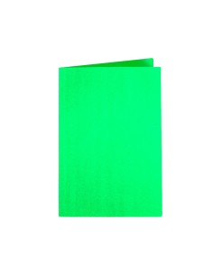 CI | Subcarpeta liderpapel a4 verde intenso 180g/m2 2