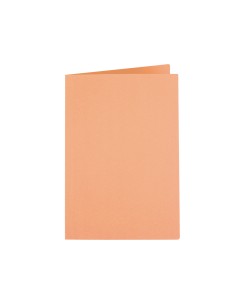 CI | Subcarpeta liderpapel folio naranja intenso 180g/m2 2