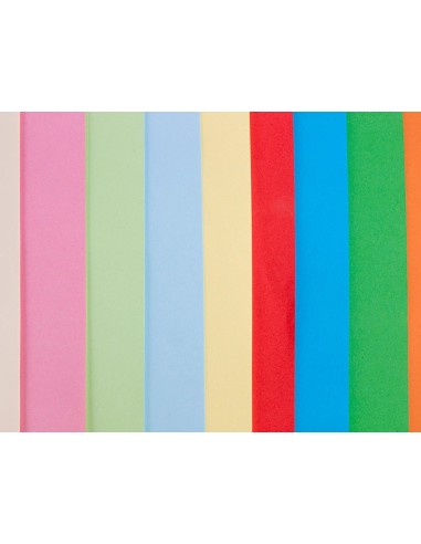 CI | Papel color liderpapel a3 80gr/m2 10 colores surtidos paquete 100 hojas