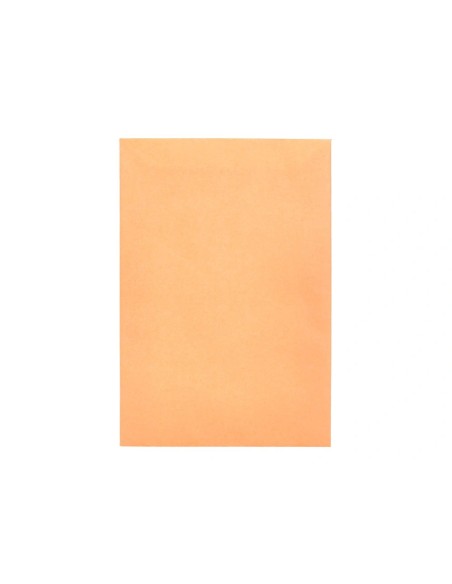 CI | Sobre liderpapel bolsa n.0 cel caña salarios 100x145mm tira silicona caja de 1000 unidades