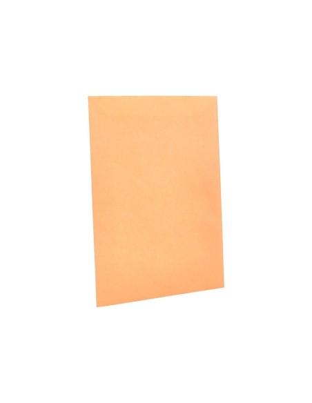 CI | Sobre liderpapel bolsa n.0 cel caña salarios 100x145mm tira silicona caja de 1000 unidades