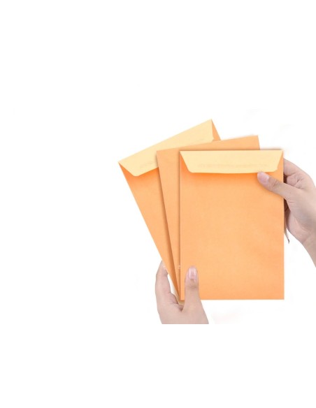 CI | Sobre liderpapel bolsa n.0 cel caña salarios 100x145mm tira silicona caja de 1000 unidades
