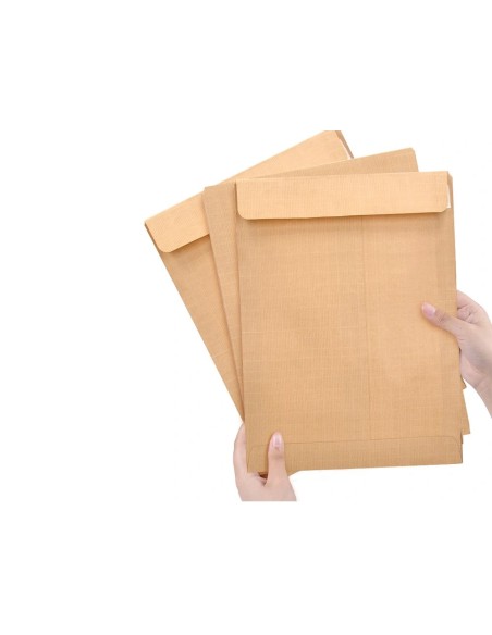 CI | Sobre liderpapel bolsa n.6 kraft cuarto prolongado 184x261mm tira de silicona caja de 250 unidades