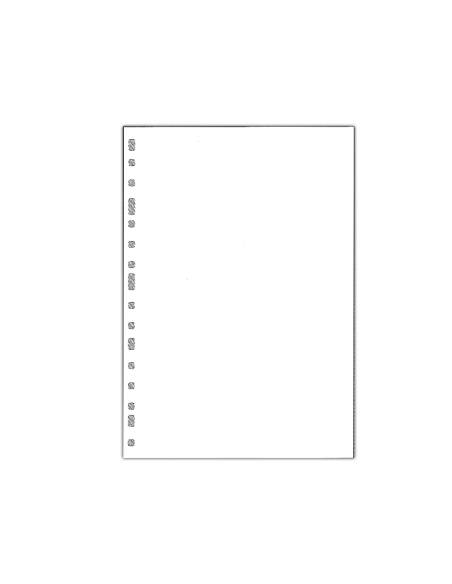 CI | Recambio multifin 3002 liso -blanco