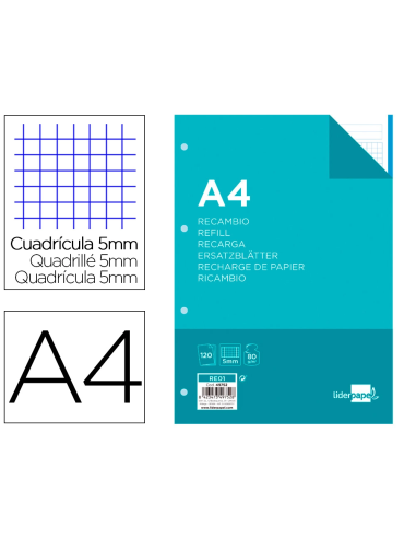 CI | Recambio liderpapel a4 120 hojas 80g/m2 cuadro 5mm sin margen 4 taladros bandas de 5 colores