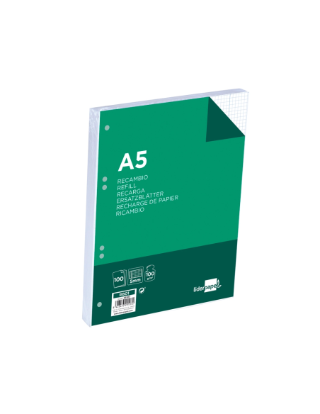 CI | Recambio liderpapel a5 100 hojas 100g/m2 cuadro 5mm con margen 6 taladros