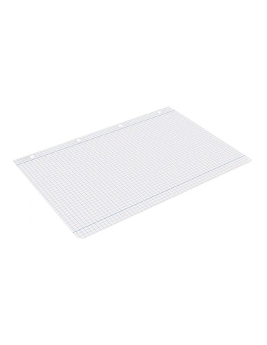 CI | Recambio liderpapel a4 100 hojas 100g/m2 cuadro 5mm con margen 4 taladros