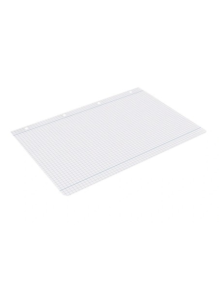 CI | Recambio liderpapel a4 100 hojas 100g/m2 cuadro 5mm con margen 4 taladros