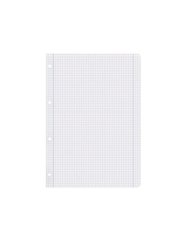 CI | Recambio liderpapel a4 100 hojas 100g/m2 cuadro 5mm con margen 4 taladros