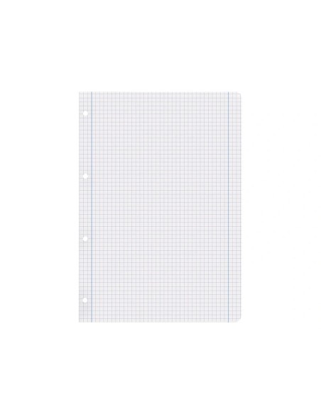 CI | Recambio liderpapel a4 100 hojas 100g/m2 cuadro 5mm con margen 4 taladros