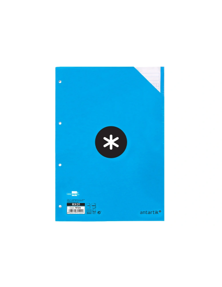 CI | Recambio liderpapel a4 100 hojas 100g/m2 cuadro 5 mm 4 taladros bandas de 5 colores antartik