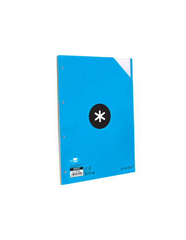 CI | Recambio liderpapel a4 100 hojas 100g/m2 cuadro 5 mm 4 taladros bandas de 5 colores antartik