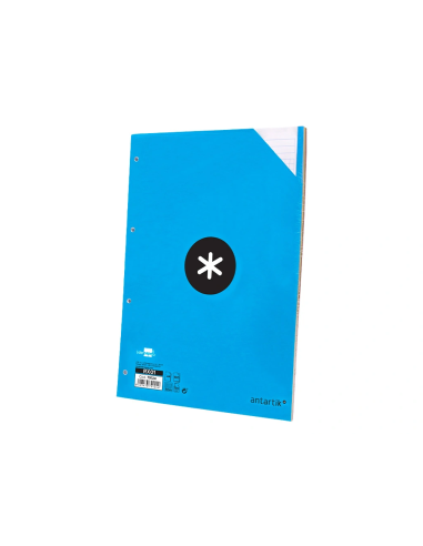 CI | Recambio liderpapel a4 100 hojas 100g/m2 cuadro 5 mm 4 taladros bandas de 5 colores antartik