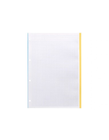 CI | Recambio liderpapel a4 100 hojas 100g/m2 cuadro 5 mm 4 taladros bandas de 5 colores antartik