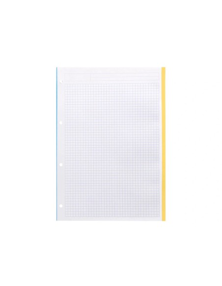 CI | Recambio liderpapel a4 100 hojas 100g/m2 cuadro 5 mm 4 taladros bandas de 5 colores antartik