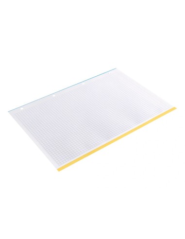 CI | Recambio liderpapel a4 100 hojas 100g/m2 cuadro 5 mm 4 taladros bandas de 5 colores antartik