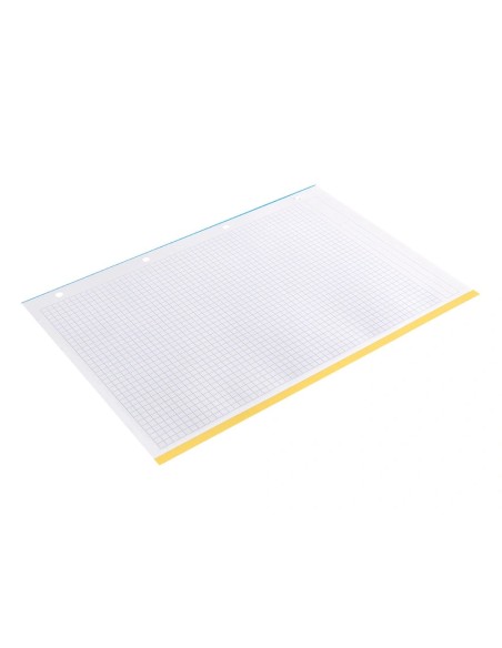 CI | Recambio liderpapel a4 100 hojas 100g/m2 cuadro 5 mm 4 taladros bandas de 5 colores antartik