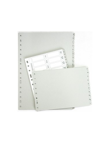 CI | Separador alfabetico multifin plastico 3002