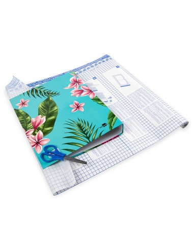 CI | Rollo plastico adhesivo liderpapel 0.50x20 mt 80 mc removible