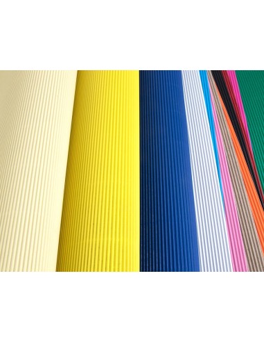 CI | Carton ondulado liderpapel 50 x 70cm...