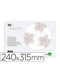 CI | Bloc trabajos manuales liderpapel cartulina...