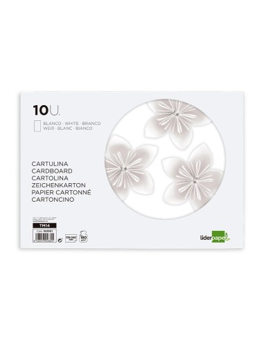 CI | Bloc trabajos manuales liderpapel...