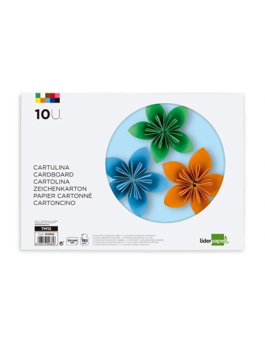 CI | Bloc trabajos manuales liderpapel cartulina 240x315mm 10 hojas 5 colores neon + 5 colores intensos
