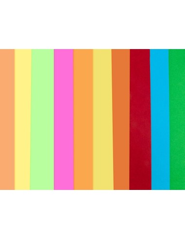 CI | Bloc trabajos manuales liderpapel cartulina 240x315mm 10 hojas 5 colores neon + 5 colores intensos
