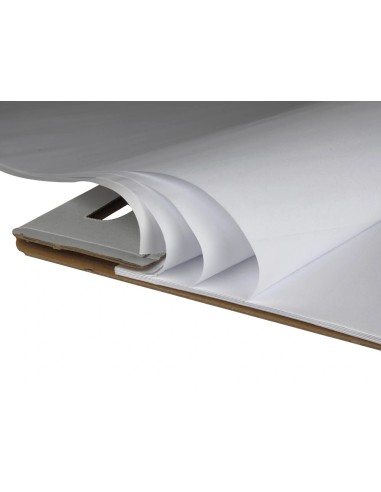 CI | Bloc congreso liderpapel liso 63x84cm 50 hojas 80g/m2