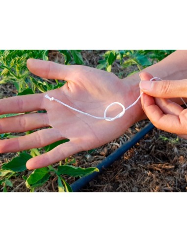 CI | Cuerda rafia -rollo de 600 metros